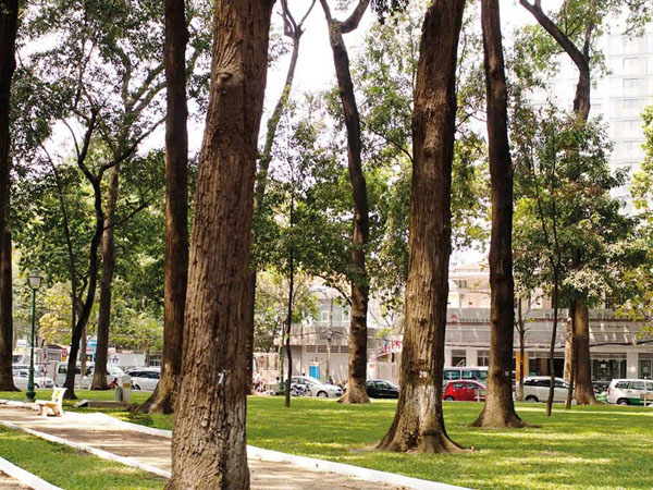 15 công viên để bạn tận hưởng không gian xanh mát ngay tại Sài Gòn náo nhiệt