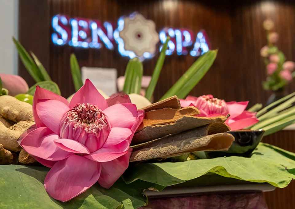 TOP 10 địa chỉ massage trị liệu tốt nhất tại Sài Gòn