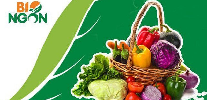 Top 10 cửa hàng thực phẩm xanh sạch uy tín và chất lượng ở TPHCM