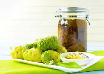 7 Cách Làm Trái Nhàu Ngâm Rượu Hiệu Quả Tại Nhà